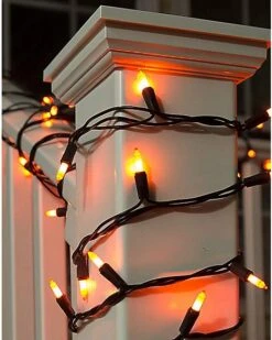 Orange String Lights 7 Orange String Lights -Forum Novelties Shop 01027531 c