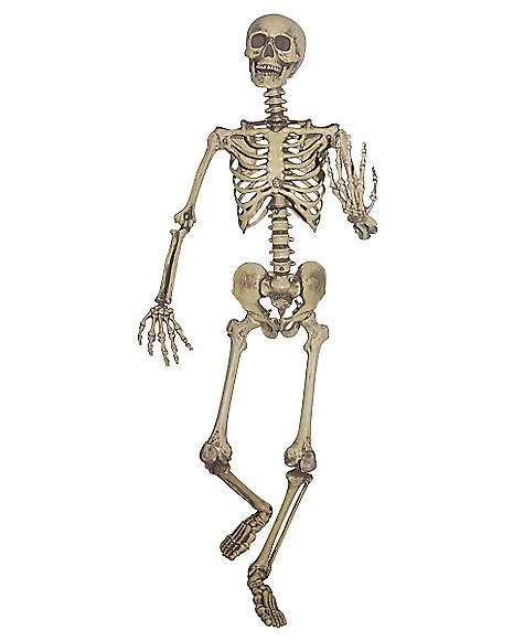 5 Ft Hanging Skeleton Decoration 3 5 Ft Hanging Skeleton Decoration