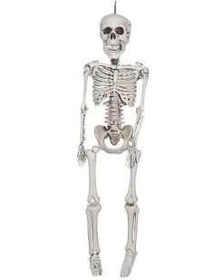 20 In Plastic Skeleton