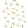 Glow In The Dark Spiders - 24 Pack -Forum Novelties Shop 01251032 a