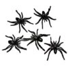 Black Spider Pack - 30 Pack -Forum Novelties Shop 01251040 a