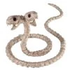 Two-Headed Snake Skeleton - Decorations -Forum Novelties Shop 01344316 a