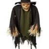Scarecrow Convertible Hanging Prop And Lawn Stake -Forum Novelties Shop 01437938 a