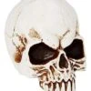 Jawless Skull -Forum Novelties Shop 01475961 a