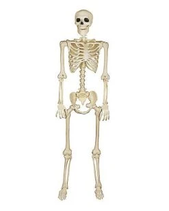 Forum Novelties Shop 6 5 Ft Blacklight Skeleton