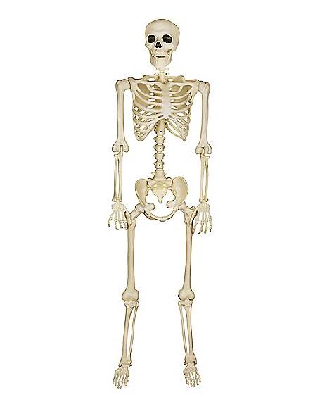 5 Ft Blacklight Skeleton 3 5 Ft Blacklight Skeleton