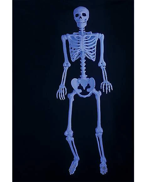 5 Ft Blacklight Skeleton 4 5 Ft Blacklight Skeleton - Image 2