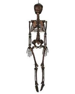 Moss Skeleton -Forum Novelties Shop 01477140 c