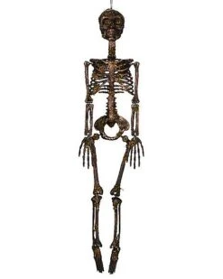 Moss Skeleton -Forum Novelties Shop 01477140 d