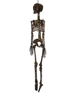 Moss Skeleton -Forum Novelties Shop 01477140 e