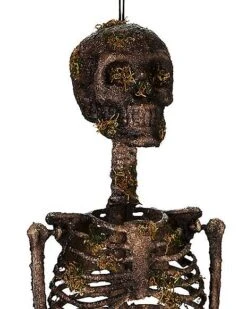 Moss Skeleton -Forum Novelties Shop 01477140 f