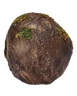 Moss Skull -Forum Novelties Shop 01477157 c