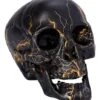 Lightning Skull -Forum Novelties Shop 01477751 a