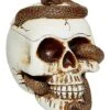 Snake Skull Box -Forum Novelties Shop 01530286 a