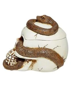 Snake Skull Box -Forum Novelties Shop 01530286 f
