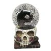 Gothic Noir Raven Snow Globe -Forum Novelties Shop 01540020 a