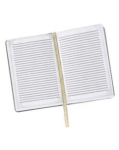 Gothic Noir Skull Journal -Forum Novelties Shop 01540152 c