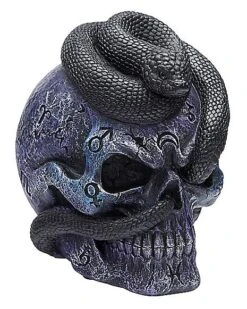 Mystical Arts Snake Skull 8 Mystical Arts Snake Skull -Forum Novelties Shop 01542786 c