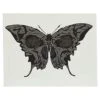 Moth Butterfly Temporary Tattoo -Forum Novelties Shop 01542943 a