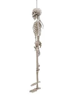 5 Ft. Digieye Hanging Skeleton Decoration -Forum Novelties Shop 01547751 d