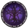 Round Mystical Arts Fleece Blanket -Forum Novelties Shop 01564723 a