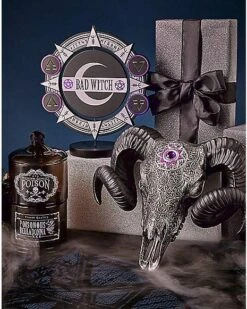 Spinning Bad Witch Good Witch Tabletop Sign -Forum Novelties Shop 01564756 d