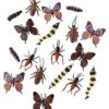 Multi-Color Critters - 18 Pack -Forum Novelties Shop 01565860 a