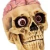 Skull With Brain Decoration 1 Skull With Brain Decoration -Forum Novelties Shop 01573070 a