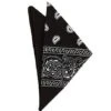 Black Paisley Bandana