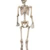 5 Ft Pose 'N' Stay Skeleton -Forum Novelties Shop 07125149 a