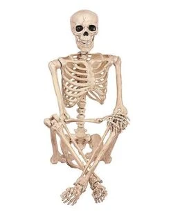 5 Ft Pose 'N' Stay Skeleton 7 5 Ft Pose 'N' Stay Skeleton -Forum Novelties Shop 07125149 c