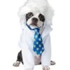 Einstein Pet Costume -Forum Novelties Shop 07408354 a