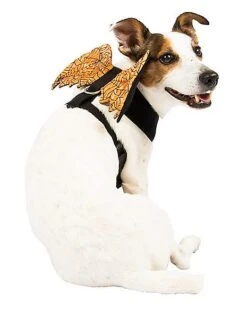 Orange Web Wings Pet Harness