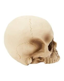 Jawless Skull Set - 3 Pack -Forum Novelties Shop 07641780 c