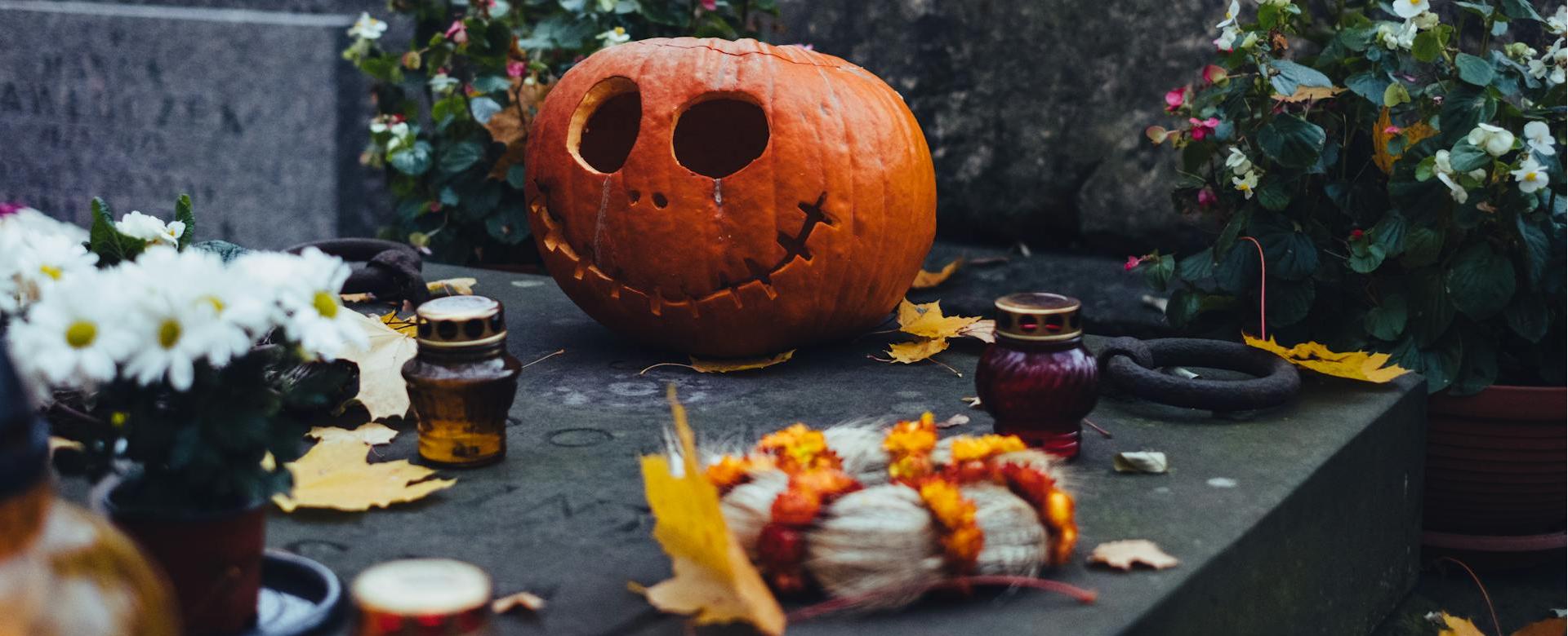 Forum Novelties Shop 1 Forum Novelties Shop -Forum Novelties Shop pexels freestocks 10011516